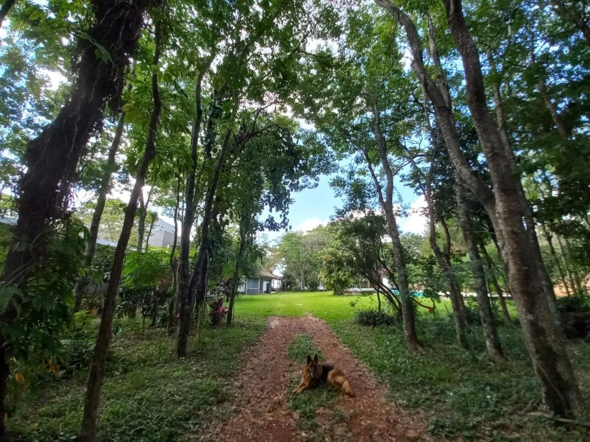 Parana Riverside - *